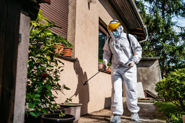 Best Commercial Pest Control Services  in Lemont, IL